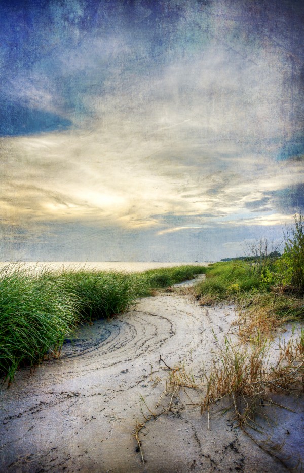 Beach Path by JMcCool